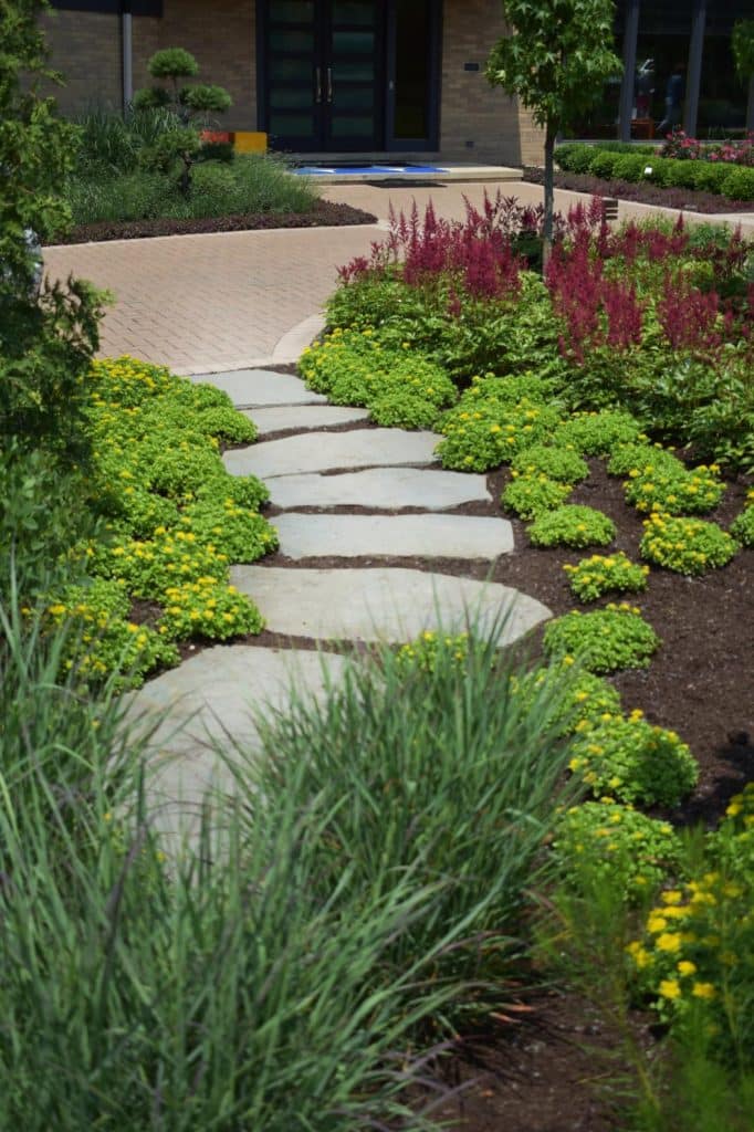 Flagstone Irregular Shapes - Bluestone Natural Cleft Full Color