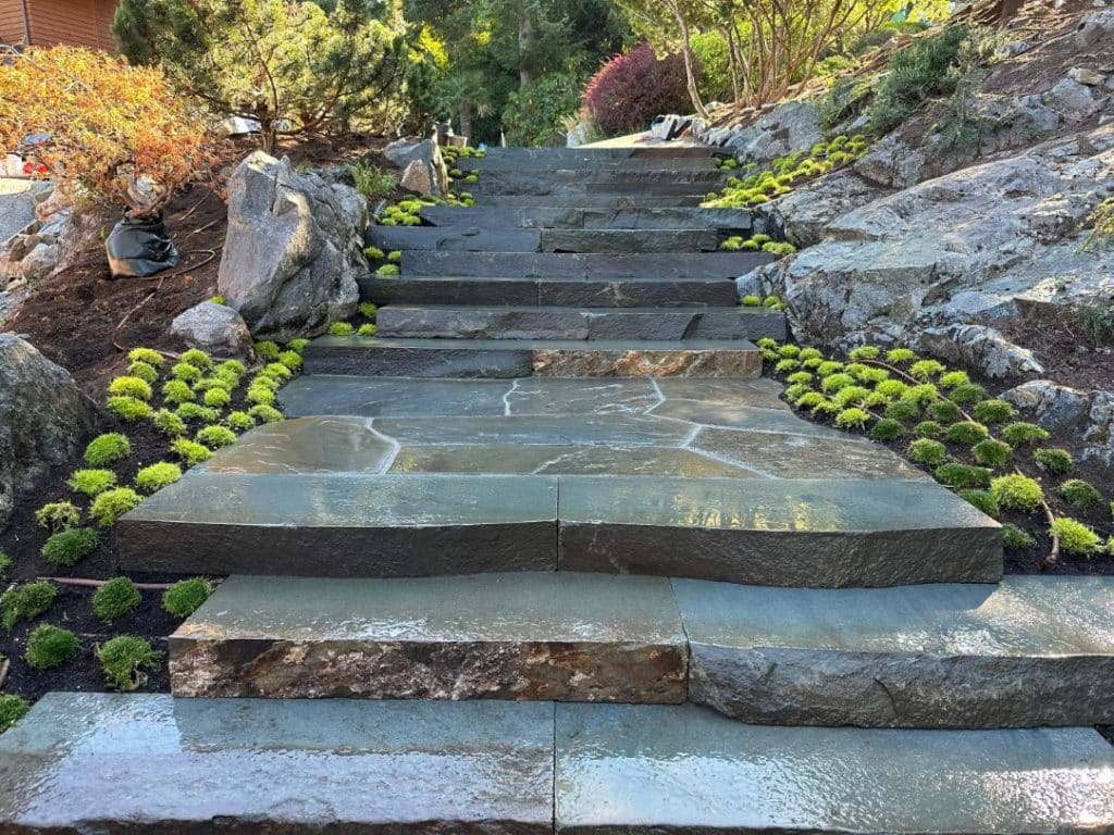 Step - Bluestone Natural Front Full Color